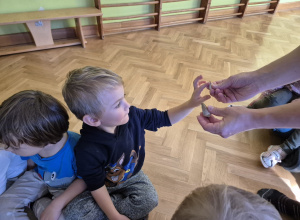 Prehistoryczne stwory - Co o nich wiemy?