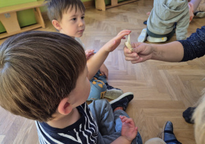 Zdjęcie 11 na 22