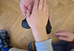 Zdjęcie 17 na 22