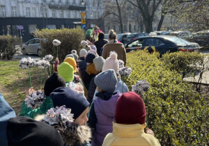 Zdjęcie 7 na 12