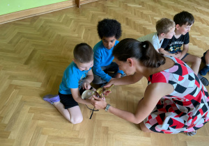 Zdjęcie 3 na 27