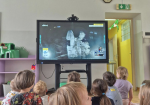 Zdjęcie 5 na 5