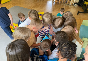 Zdjęcie 15 na 19