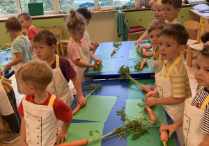 Zdjęcie 12 na 21