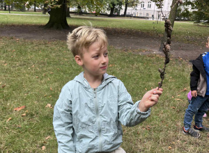 Bum Cyk Cyk w Parku Saskim