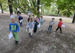 Zdjęcie 4 na 11