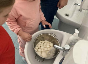 Crazy Veggie – pietruszka