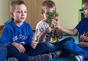 Zdjęcie 15 na 18