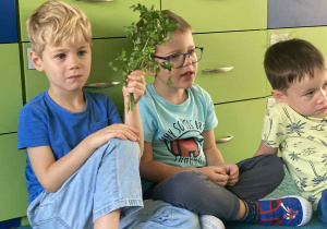 Zdjęcie 17 na 18
