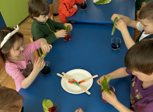 Fanfary dla sałaty :)